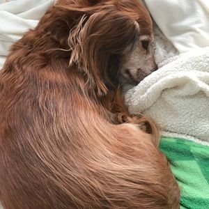 Meet your Posher, Trisha